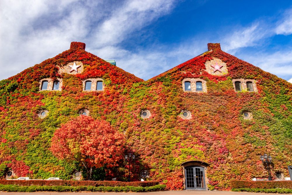 札幌ファクトリー